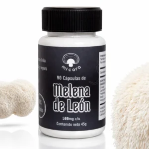 Melena de Leon ( hericium erinaceus)