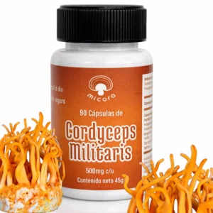 Cordyceps Militaris en Cápsulas | Energía, Resistencia y Bienestar Natural