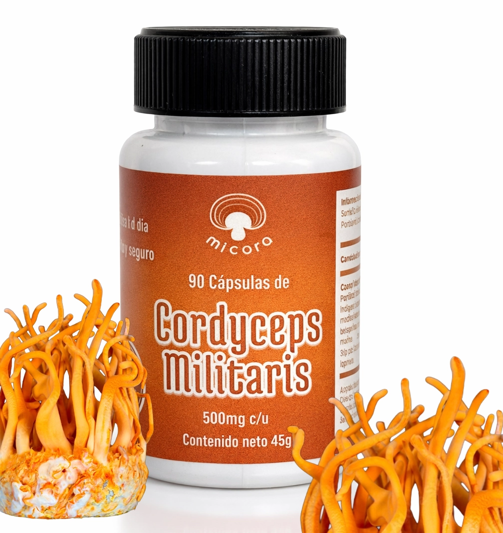 Cordyceps Militaris en Cápsulas | Energía, Resistencia y Bienestar Natural