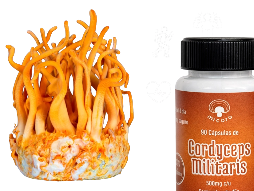cordyceps-militaris-90-capsulas-banner